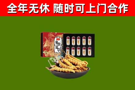 台中市回收冬虫夏草价格